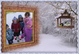 птицы ручеёк